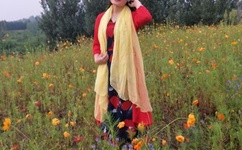 9·1网站登录入口免费